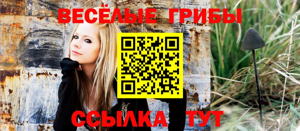 Галлюциногенные грибы мухоморы Михайловка