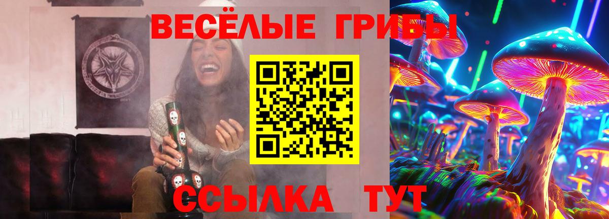 Псилоцибиновые грибы ЛСД  Вход с VPN  Михайловка 